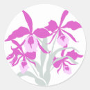 Suche nach cattleya aufkleber Rosa