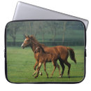 Suche nach thoroughbred laptop schutzhüllen Stutenfohlen
