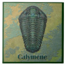 Suche nach fossils fliesen Paläontologie