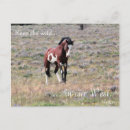 Suche nach stallion postkarten Senf