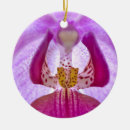 Suche nach orchideen ornamente Natur