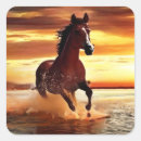 Suche nach schönes pferd aufkleber Wildpferd