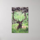 Suche nach elch poster leinwandbilder Wild lebende tiere