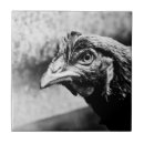 Suche nach huhn fliesen Nutztier