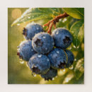 Suche nach blaubeere puzzle Jede person