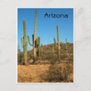 Suche nach cactus postkarten Wüste