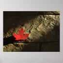 Suche nach kanadisches ahornblatt poster Reise