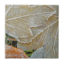 Suche nach goldenes blatt fliesen Baum