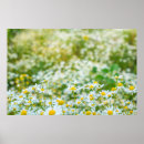 Suche nach alternativen poster Schön