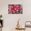 Suche nach blume foto poster Rosa