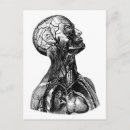 Suche nach torso poster postkarten Geschenkidee