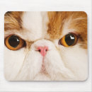 Suche nach harlekin mousepads Studioschuß