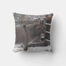 Suche nach maultier kissen Pferd