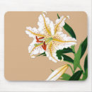 Suche nach vintage lilie mousepads Japanisch