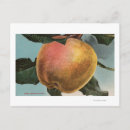 Suche nach chromo postkarten Lithograph