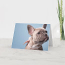 Suche nach reinrassiges tier karten Bulldogge