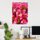 Suche nach tropfen poster Rosa