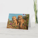 Suche nach alaska karten Wildtiere