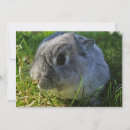 Suche nach naher osten karten Hase