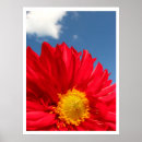 Suche nach dahlie poster Blumen