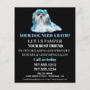 Suche nach hund im flyer Grooming