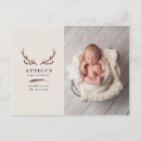 Suche nach niedlich tier fotos postkarten Für sie