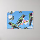 Suche nach kolibris leinwandbilder Blume