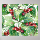Suche nach cherry poster Aquarell