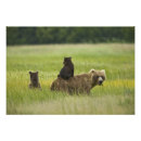 Suche nach klammern poster See