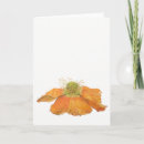 Suche nach orange mohnblume karten Botanisch