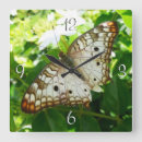 Suche nach tropischer schmetterling kunst Blume