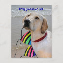 Suche nach bikini party einladungen Gäste