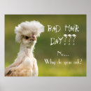 Suche nach farm animals poster Poultry