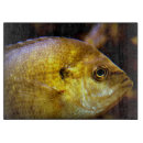 Suche nach fisch schneidebrettchen See