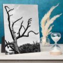 Suche nach bäume fotoplatten Abstrakt