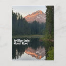 Suche nach trillium Fotografie