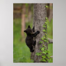 Suche nach schwarzer baum poster Wildtiere
