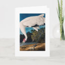 Suche nach audubon karten Für alle