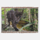 Suche nach schwarzer panther decken Tier