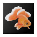 Suche nach goldfisch fliesen Japanisch