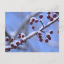 Suche nach engelbrecht postkarten Usa