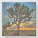 Suche nach mojave untersetzer Usa