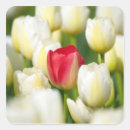 Suche nach marion aufkleber Landkreis