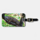 Suche nach eidechse gepäckanhänger Tier