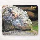 Suche nach komodo drache mousepads Drachen