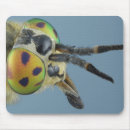 Suche nach antennen mousepads Nahaufnahmeansicht