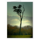 Suche nach einziger baum Himmel