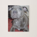 Suche nach bull terrier puzzle Niedlich