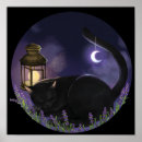 Suche nach kleine hexe poster Katze