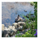 Suche nach semi poster Natur